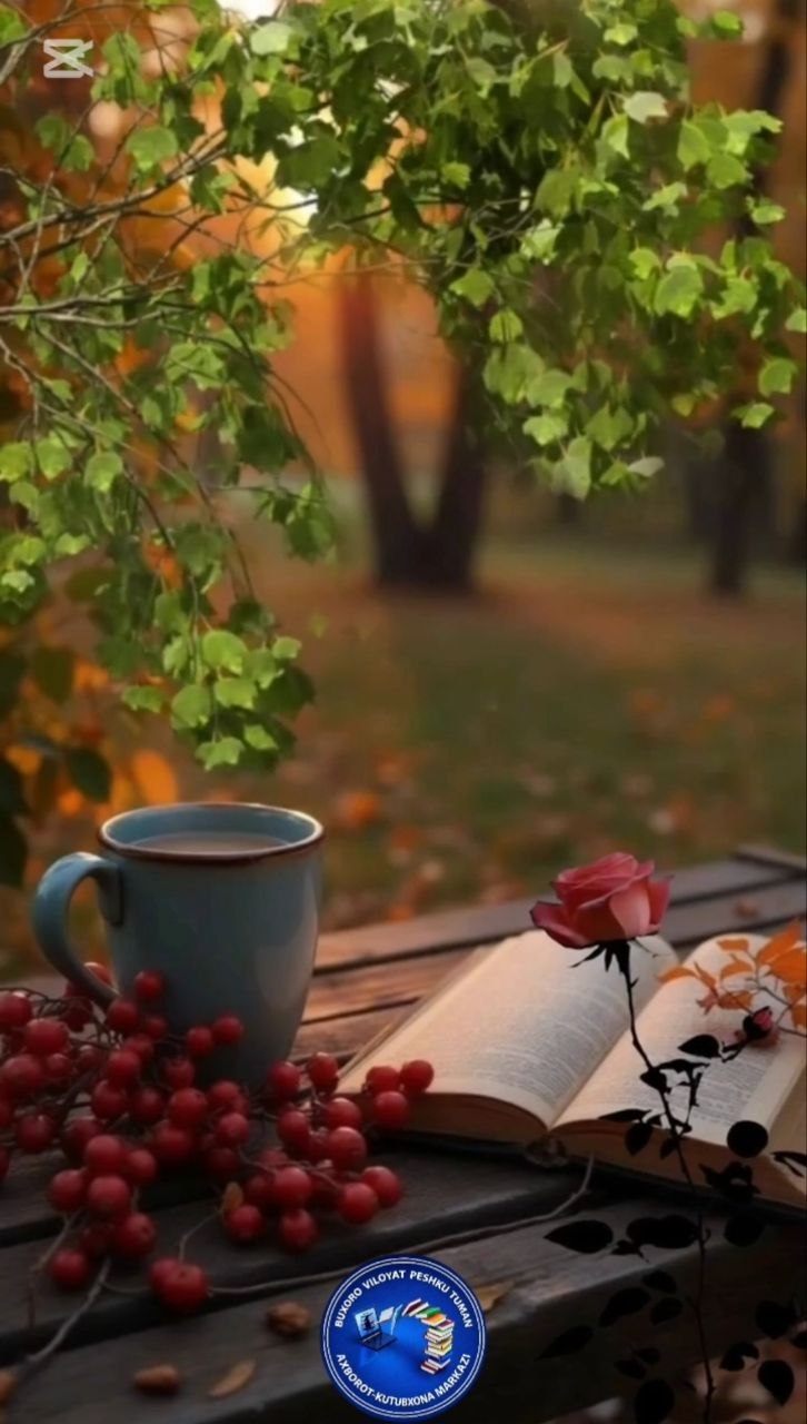 Sahifalar sehri