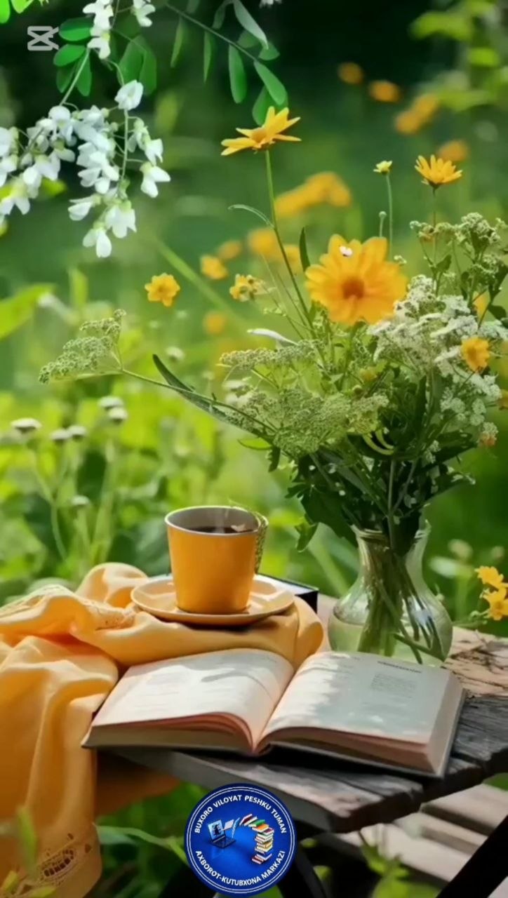 Sahifalar sehri